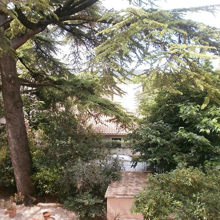 Hotel Le Victoria Draguignan Oda fotoğraf